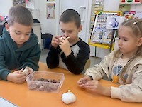 Есть зубцы, но я не башня. Стрелка есть, но не часы...