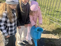 Есть зубцы, но я не башня. Стрелка есть, но не часы...