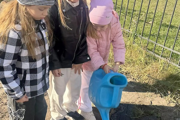 Есть зубцы, но я не башня. Стрелка есть, но не часы...